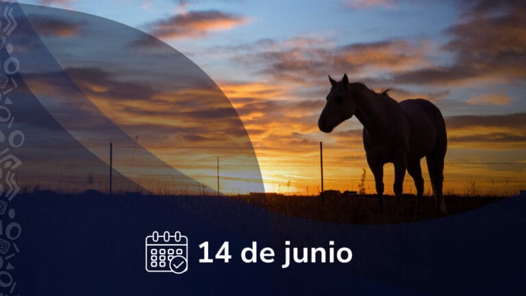 Imagen 14 de Junio - UGPP